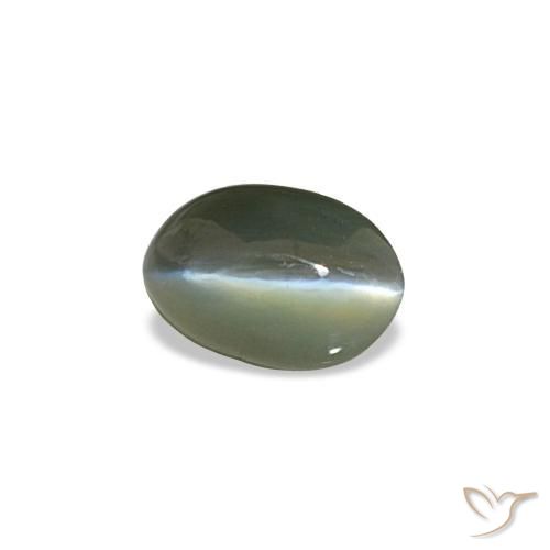 Cat's Eye Alexandrite طبيعي بلون رمادى متوسط، وزن ‎0.50‎ قيراط، شكل بيضاوى، مقاس ‎5.3x3.5‎ مم