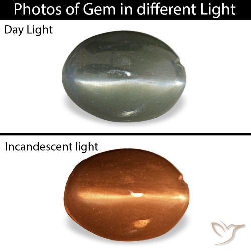Cat's Eye Alexandrite طبيعي بلون رمادى مخضر-باهت، وزن ‎0.39‎ قيراط، شكل بيضاوى، مقاس ‎5.1x3.7‎ مم