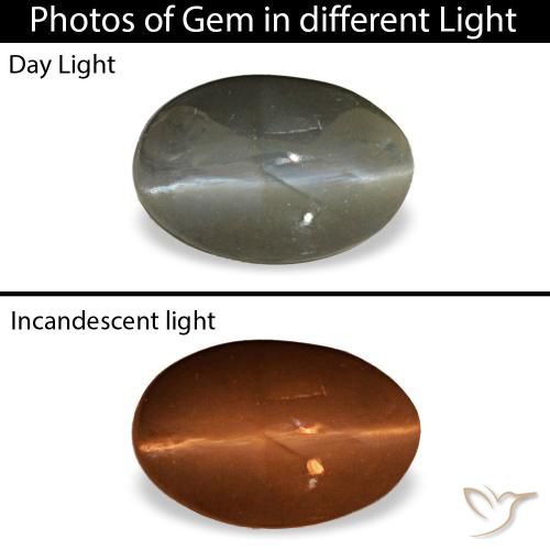 0.47ct رمادي Cat's Eye Alexandrite, بيضاوي, غير شفاف