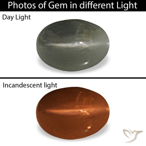 Cat's Eye Alexandrite طبيعي بلون رمادى مخضر-باهت، وزن ‎0.47‎ قيراط، شكل بيضاوى، مقاس ‎5.5x4‎ مم