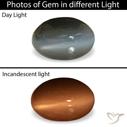 Cat's Eye Alexandrite طبيعي بلون رمادى متوسط، وزن ‎0.50‎ قيراط، شكل بيضاوى، مقاس ‎5.2x3.5‎ مم