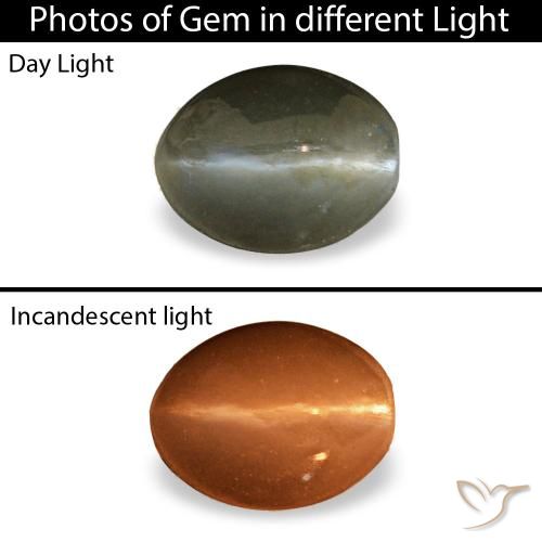 Cat's Eye Alexandrite طبيعي بلون رمادى متوسط، وزن ‎0.45‎ قيراط، شكل بيضاوى، مقاس ‎5x3.9‎ مم