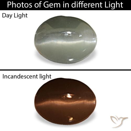 1.03ct رمادي Cat's Eye Alexandrite, بيضاوي, غير شفاف