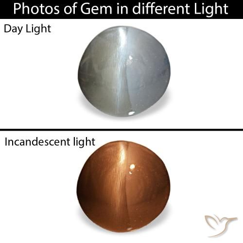 0.88ct رمادي Cat's Eye Alexandrite, بيضاوي, غير شفاف