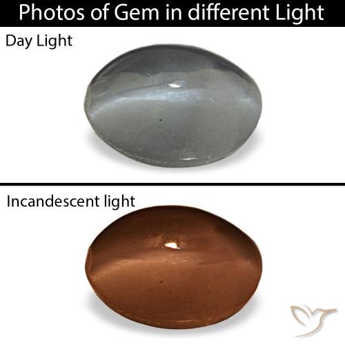 Cat's Eye Alexandrite طبيعي بلون رمادى متوسط، وزن ‎1.03‎ قيراط، شكل بيضاوى، مقاس ‎6.3x4.3‎ مم