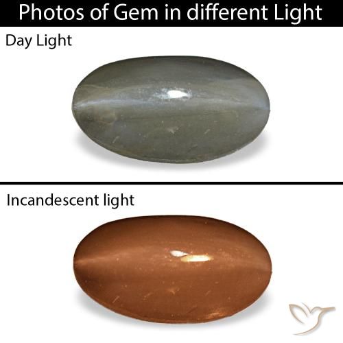 Cat's Eye Alexandrite طبيعي بلون رمادى متوسط، وزن ‎1.01‎ قيراط، شكل بيضاوى، مقاس ‎7.8x4.3‎ مم
