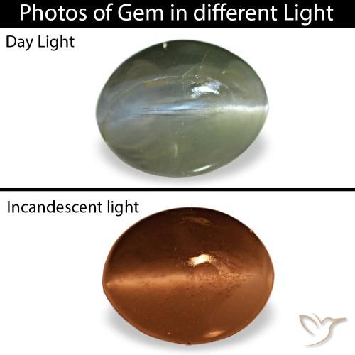 0.64ct رمادي Cat's Eye Alexandrite, بيضاوي, غير شفاف