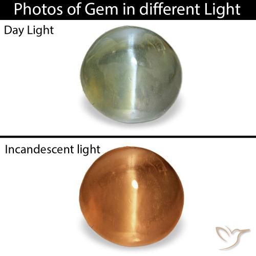 0.60ct أخضر Cat's Eye Alexandrite, بيضاوي, غير شفاف
