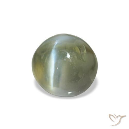 Cat's Eye Alexandrite طبيعي بلون أخضر متوسط، وزن ‎0.60‎ قيراط، شكل بيضاوى، مقاس ‎4.8x4.5‎ مم