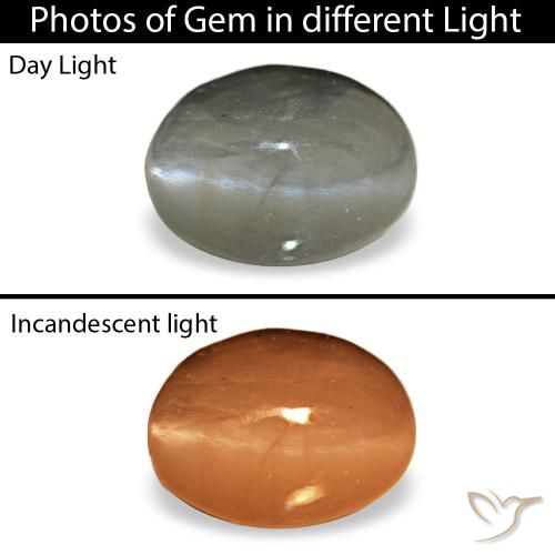 Cat's Eye Alexandrite طبيعي بلون رمادى متوسط، وزن ‎0.72‎ قيراط، شكل بيضاوى، مقاس ‎5.5x4‎ مم