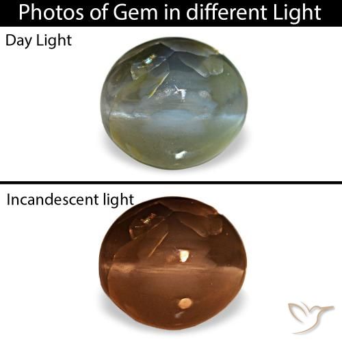 0.79ct رمادي Cat's Eye Alexandrite, بيضاوي, غير شفاف