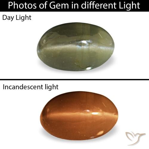 0.34ct أخضر Cat's Eye Alexandrite, بيضاوي, غير شفاف