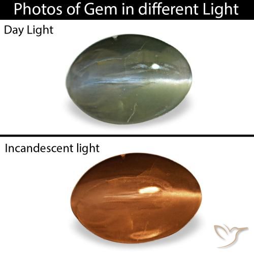 0.38ct أخضر Cat's Eye Alexandrite, بيضاوي, غير شفاف