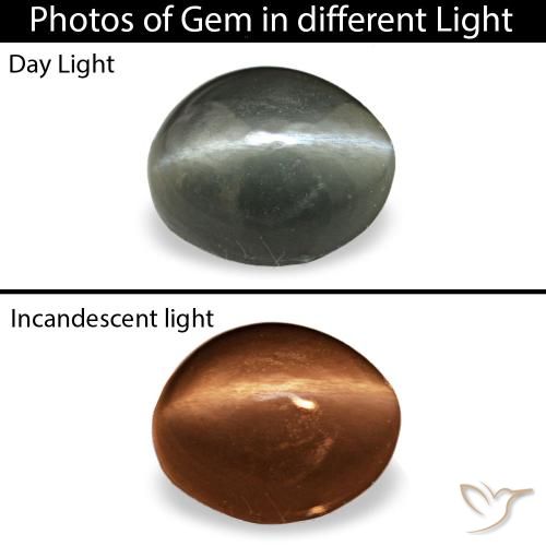 0.34ct رمادي Cat's Eye Alexandrite, بيضاوي, غير شفاف