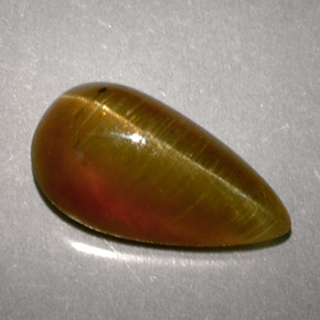 Cat's Eye Apatite طبيعي بلون عسلي، وزن ‎2.89‎ قيراط، شكل شكل الكمثرى، مقاس ‎11.4x6.1‎ مم