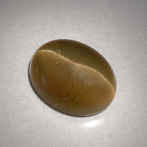 Cat's Eye Apatite طبيعي بلون ذهبي مخضر، وزن ‎3.11‎ قيراط، شكل بيضاوى، مقاس ‎9.2x7.1‎ مم