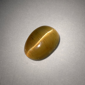 Cat's Eye Apatite طبيعي بلون ذهبي مخضر، وزن ‎3.01‎ قيراط، شكل بيضاوى، مقاس ‎9.8x7‎ مم