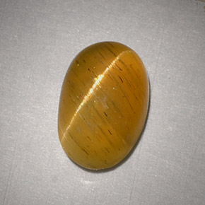 Cat's Eye Apatite طبيعي بلون ذهبي مخضر، وزن ‎2.48‎ قيراط، شكل بيضاوى، مقاس ‎9.5x6.2‎ مم