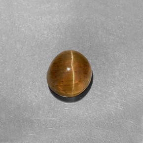 Cat's Eye Apatite طبيعي بلون عسلي، وزن ‎1.61‎ قيراط، شكل بيضاوى، مقاس ‎6.2x5.7‎ مم