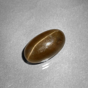 Cat's Eye Apatite طبيعي بلون عسلي، وزن ‎3.58‎ قيراط، شكل بيضاوى، مقاس ‎10.7x6.2‎ مم