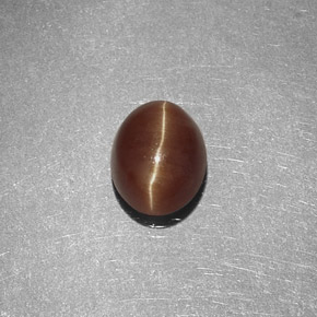 Cat's Eye Apatite طبيعي بلون عسلي، وزن ‎1.47‎ قيراط، شكل بيضاوى، مقاس ‎7x5.7‎ مم