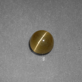 Cat's Eye Apatite طبيعي بلون ذهبي مخضر، وزن ‎1.12‎ قيراط، شكل شفاف، مقاس ‎5.72‎ مم