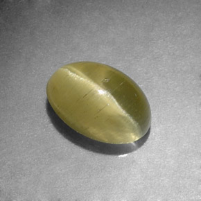 Cat's Eye Apatite طبيعي بلون أصفر أخضر، وزن ‎1.31‎ قيراط، شكل بيضاوى، مقاس ‎7.2x4.9‎ مم