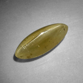 Cat's Eye Apatite طبيعي بلون أصفر أخضر، وزن ‎3.69‎ قيراط، شكل ماركيز، مقاس ‎13.6x5.2‎ مم
