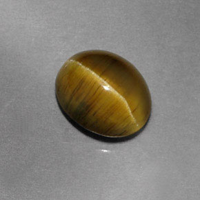 Cat's Eye Apatite طبيعي بلون أخضر ذهبي، وزن ‎1.87‎ قيراط، شكل شفاف، مقاس ‎7.9x6.5‎ مم