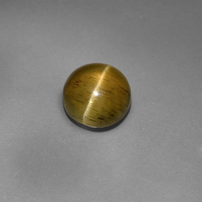 Cat's Eye Apatite طبيعي بلون أخضر ذهبي، وزن ‎3.08‎ قيراط، شكل شفاف، مقاس ‎8.25‎ مم
