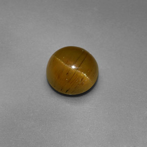Cat's Eye Apatite طبيعي بلون أخضر ذهبي، وزن ‎1.47‎ قيراط، شكل دائري، مقاس ‎6.46‎ مم