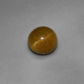 Cat's Eye Apatite طبيعي بلون أخضر ذهبي، وزن ‎1.47‎ قيراط، شكل دائري، مقاس ‎6.46‎ مم