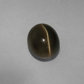 Cat's Eye Apatite طبيعي بلون أخضر ذهبي، وزن ‎5.70‎ قيراط، شكل بيضاوى، مقاس ‎10.7x8.8‎ مم