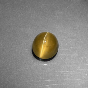 Cat's Eye Apatite طبيعي بلون أخضر ذهبي، وزن ‎2.27‎ قيراط، شكل شفاف، مقاس ‎7.4x6.8‎ مم