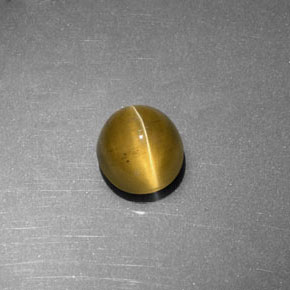 Cat's Eye Apatite طبيعي بلون أخضر ذهبي، وزن ‎2.27‎ قيراط، شكل شفاف، مقاس ‎7.4x6.8‎ مم