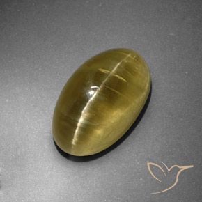 12.95ct طبيعي أصفر ترابى أباتيت عين القط, بيضوي, نصف شفاف