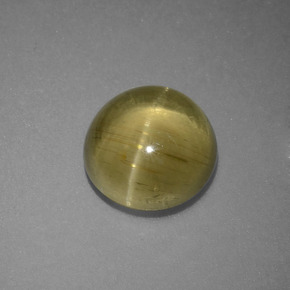 Cat's Eye Apatite طبيعي بلون أصفر أخضر، وزن ‎3.69‎ قيراط، شكل دائري، مقاس ‎9.22‎ مم