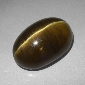 Cat's Eye Apatite طبيعي بلون بني ذهبي، وزن ‎20.30‎ قيراط، شكل بيضاوى، مقاس ‎19x13‎ مم
