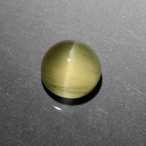 Cat's Eye Apatite طبيعي بلون ذهبي مخضر، وزن ‎6.11‎ قيراط، شكل دائري، مقاس ‎10.01‎ مم