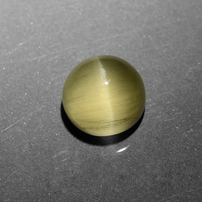 Cat's Eye Apatite طبيعي بلون ذهبي مخضر، وزن ‎6.11‎ قيراط، شكل دائري، مقاس ‎10.01‎ مم