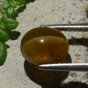 أباتيت عين القط برتقالي طبيعي، قصة بيضاوى، 3.16 قيراط، نصف شفاف