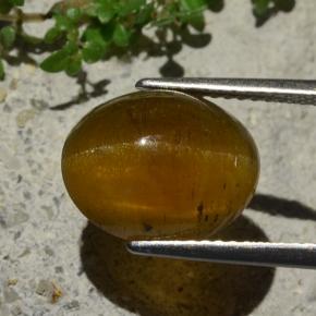 أباتيت عين القط بنى متوسط طبيعي، قصة بيضاوى، 5.80 قيراط، نصف شفاف