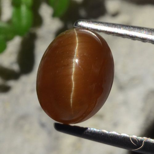 Cat's Eye Apatite طبيعي بلون بني عميق، وزن ‎2.05‎ قيراط، شكل بيضاوى، مقاس ‎7.9x6.1‎ مم