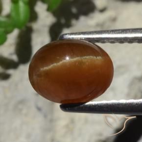 Cat's Eye Apatite طبيعي بلون بني عميق، وزن ‎2.05‎ قيراط، شكل بيضاوى، مقاس ‎7.9x6.1‎ مم