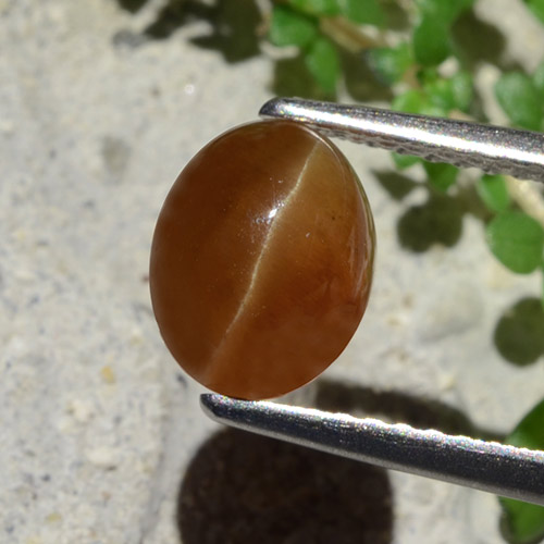 Cat's Eye Apatite طبيعي بلون بنى خبز الزنجبيل، وزن ‎1.91‎ قيراط، شكل بيضاوى، مقاس ‎8x6.3‎ مم