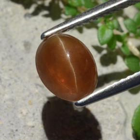 Cat's Eye Apatite طبيعي بلون بنى خبز الزنجبيل، وزن ‎1.91‎ قيراط، شكل بيضاوى، مقاس ‎8x6.3‎ مم