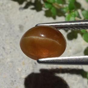 Cat's Eye Apatite طبيعي بلون بنى خبز الزنجبيل، وزن ‎1.91‎ قيراط، شكل بيضاوى، مقاس ‎8x6.3‎ مم