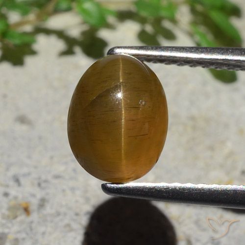2.89ct طبيعي بنى كراميل أباتيت عين القط, بيضوي, نصف شفاف