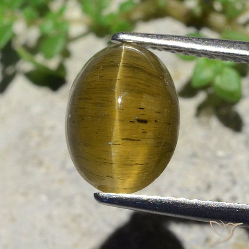 3.38ct طبيعي أصفر ترابى أباتيت عين القط, بيضوي, نصف شفاف