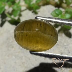 أباتيت عين القط أصفر ترابى طبيعي، قصة بيضاوى، 3.38 قيراط، نصف شفاف